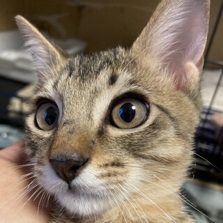 元気いっぱい可愛いぎんじ君！