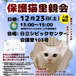 ひたちまちにゃか保護猫里親会