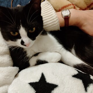 スリスリが止まらない☆ナッツちゃん♀