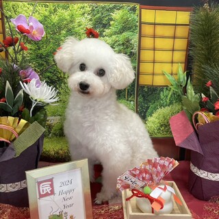 幸せみつかりました！