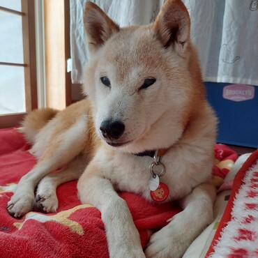 雷さん( ´ー`)杏雷ママとみんな(=^ェ^=)と穏やかに幸せに時を紡いでくださいね。　　葵。