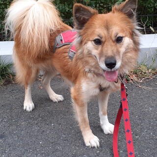 「さき」女の子