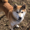 斗真くん里親さん決まりました！
