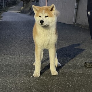 素敵なご縁をありがとうございました。