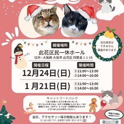 君と猫の赤い糸譲渡会