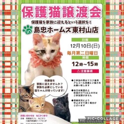 12月10日(日)島忠HOME'S東村山店譲渡会！