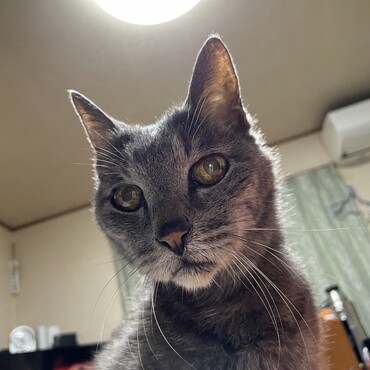 葵ちゃん〜わしゃー何だか庭が新鮮だー（＾∇＾）つゆ吉〜わしも風が吹けばふわっと飛べそうだ（＾∇＾）