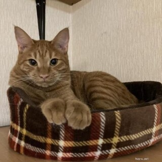 ちょっとビビリでも実は甘えん坊のぐーくん