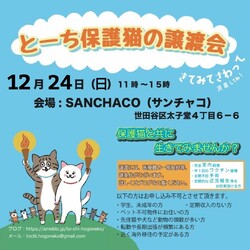 とーち保護猫の譲渡会@三軒茶屋