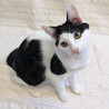 コントくん♂@約6ヶ月 サムネイル2