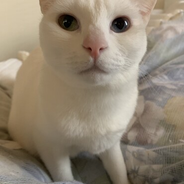 の写真