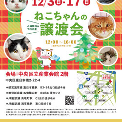 ねこざんまい譲渡会@東日本橋