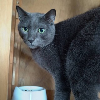 トライアル中につき一旦募集停止