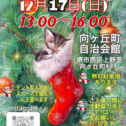 保護猫のふれあい会