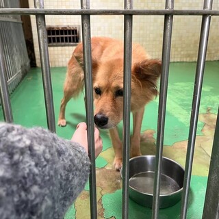 ありがとうございました！