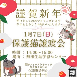 名古屋市 保護猫譲渡会☆