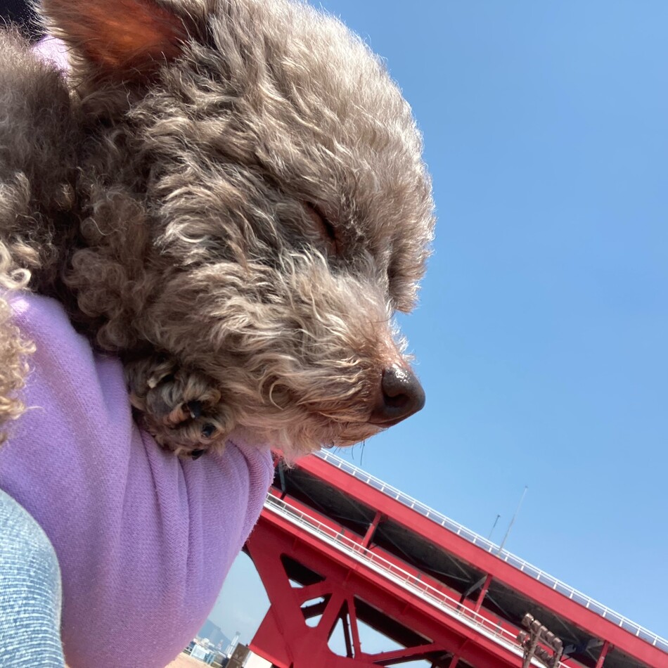くうのカバー写真