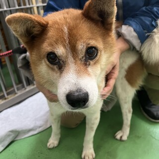 ありがとうございました！