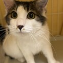 腕枕でゴロゴロ　超甘えん坊くん
