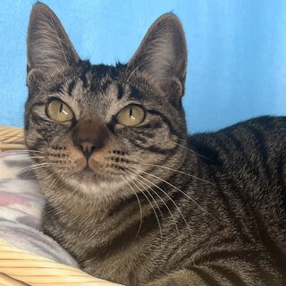 【2/25東銀座】おはぎちゃん★1歳♪