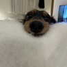 の写真