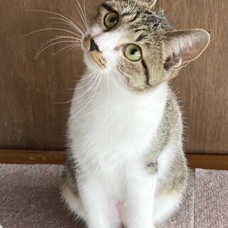 ♦︎クララ♦︎女の子