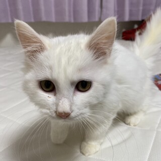 2/18稲毛海岸ෆ⃛おっとり男子ෆ⃛ゆきちくん