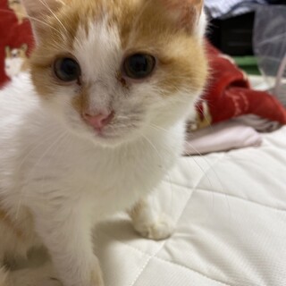 1/14稲毛海岸ෆ⃛元気いっぱいෆ⃛のんくん