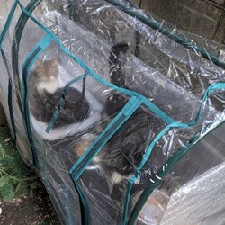 「冬支度」サムネイル2