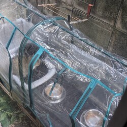 「冬支度」サムネイル3