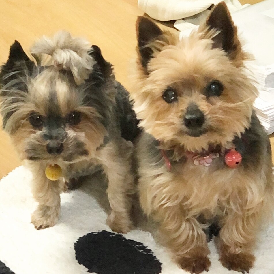 姫瀬戸のカバー写真