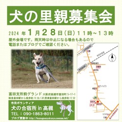 『犬の合宿所in高槻』の里親募集会
