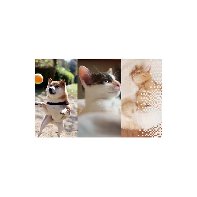 京都 縁の会のカバー写真