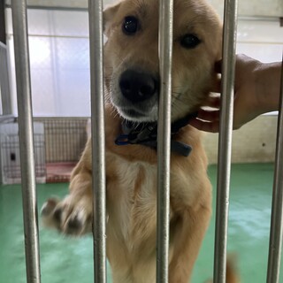 ありがとうございました！