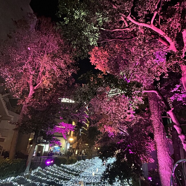 BABちゃんのカバー写真