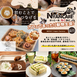 ○o*ねこフェス+わんマルシェみんなの譲渡会*o○☆ サムネイル3