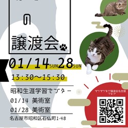 猫の譲渡会　in　名古屋市昭和生涯学習センター