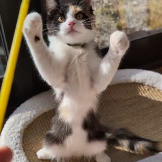 天真爛漫元気いっぱいの女の子