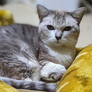 年齢を感じさせない綺麗な賢いキャサリン