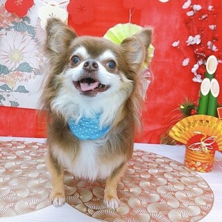 ゆっくり仲良くなって、いっぱいナデナデしてね♡