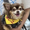 ゆっくり仲良くなって、いっぱいナデナデしてね♡ サムネイル6