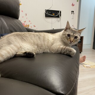 人がとても好きな王騎くん