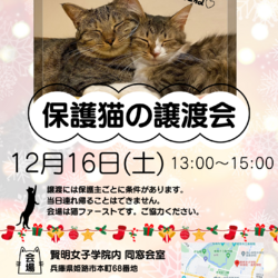 保護猫の譲渡会