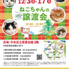 【12/17東日本橋】甘え上手♡あさがおちゃん サムネイル7