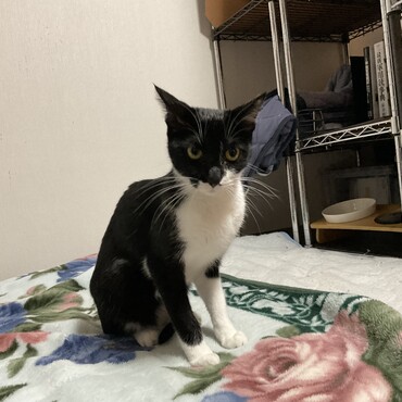の写真