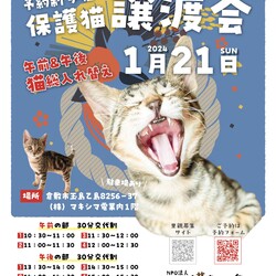 ほごっこ子猫の譲渡会（予約制）