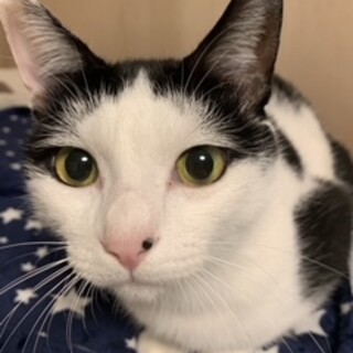 人懐っこい青葉くん