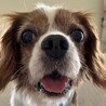 人懐っこくて愛嬌たっぷり♡甘え上手な男の子 サムネイル2