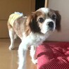 人懐っこくて愛嬌たっぷり♡甘え上手な男の子 サムネイル4