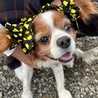 人懐っこくて愛嬌たっぷり♡甘え上手な男の子 サムネイル6
